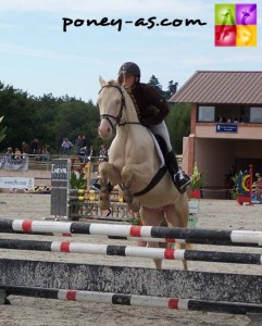 Champion des 4 ans D : Quacao du Verron (Pfs, Rasmus SL, Co x Don Juan V, Co), photo Pauline Bernuchon