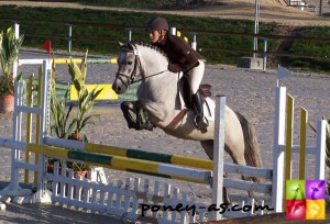 Championne des 4 ans C : Quindy des Iles (Pfs, Havane Welsh, Wd x Echiehh, Ar), photo Pauline Bernuchon