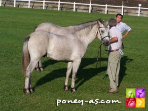 Tic Tac Mélody (Cocum Thunder Boy x Apollon Pondi), photo Pauline Bernuchon