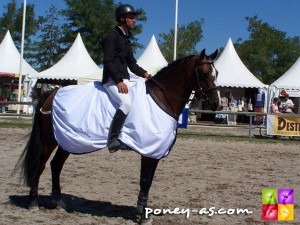 Champion des 4 ans D : l'étalon Pfs Rahan d'Hurl'Vent (Cap de B'Neville, Sf x Boogie de la Gere, Pfs), photo Pauline BernuchonChampion des 4 ans D : l'étalon Pfs Rahan d'Hurl'Vent (Cap de B'Neville, Sf x Boogie de la Gere, Pfs), photo Pauline Bernuchon