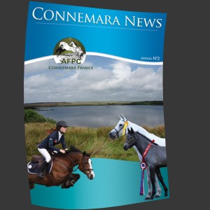 Connemara News n°2