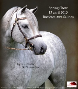 Spring Show Welsh - WPF