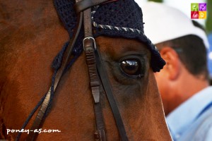 Crack Quabar des Monceaux - ph. Pauline Bernuchon