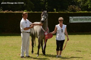 Bad Boy de la Comoe, Champion suprême 2014 - ph. coll. ACPL