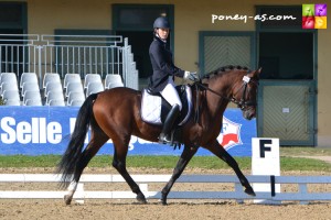 Dinky toy Vh Bloemenhof (Sbs, par Champion de Luxe, Drp et Mac Dehlia Vh Bloemenhof, Rhdl par Don’t Worry, Drp) est champion des 6 ans sous la selle Leslie Briquet - ph. Pauline Bernuchon