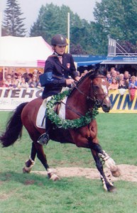 Machno Carwyn est toujours le meilleur étalon poney d'Europe ! - ph. coll. privée