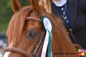 Romane Taponnot et Royal Aronn du Vassal - ph. Camille Kirmann