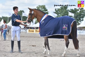 Diablotine, 3 ans FPPCF - ph. Poney As