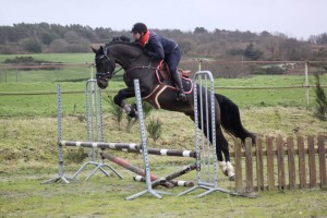 Orchard NL à l'obstacle sous la selle de Milena le Guen - ph. Servanne Alexandre