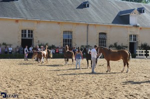 Ambiance National Welsh - ph. Agence Ecary