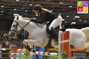 equita'lyon 2016 cso poney