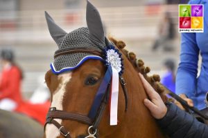 tournée des as cso poney saint-lô