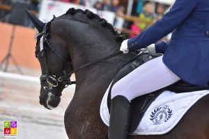 Charlotte Palas et Under Cover Fast, Generali Open de France - ph. Poney As