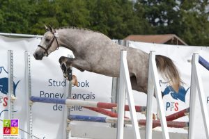 Sologn'Pony National Pfs Poney As