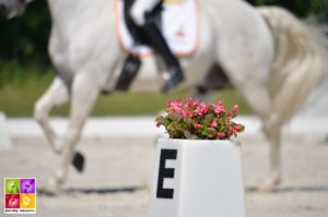 CDI Compiègne Internationaux de Dressage