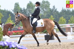 Ashen Dew Drop sous la selle d'Amber Heidbuchel - ph. Poney As