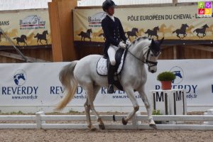 Alexandre Cheret et Butterfly Dew Drop s'adjugent les deux premières reprises de la TDA du Mans - ph. Poney As