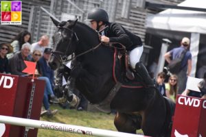 L'étalon Lovelyhill Magical Height, engagé dans le Grand Prix du CSIP du BIP 2019 - ph. Poney As