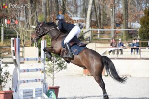 Lou Ann Beraud et Ungaro of Qofanny s’imposent de très belle manière dans le Grand Prix As Excellence – ph. Poney As