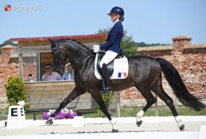 Fleur Weijkamp et Orchard NL – ph. Poney As