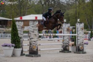 Robin Vermeir et Extrait de Tatowin de Tinmont remportent le Grand Prix du CSIP – ph. Marine Delie