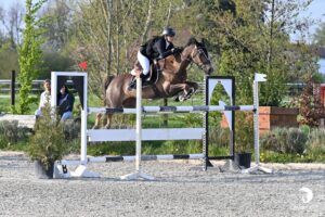 Yasmine Besbas et Valkirie de Fabijan réalise un nouveau doublé vitesse / Grand Prix As Excellence ! – ph. Caval Image