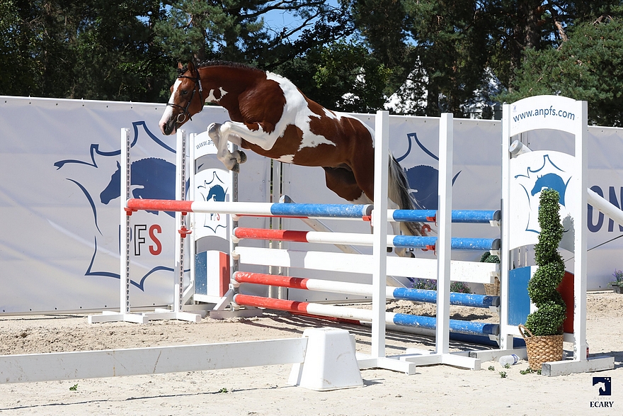 Magicboy des Musardes - ph. Agence Ecary